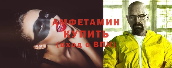 шишки Арсеньев