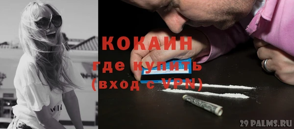шишки Арсеньев
