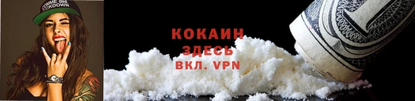 шишки Арсеньев
