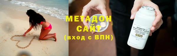 шишки Арсеньев