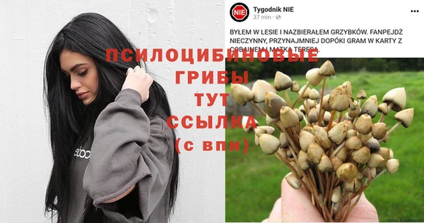 СК Аркадак