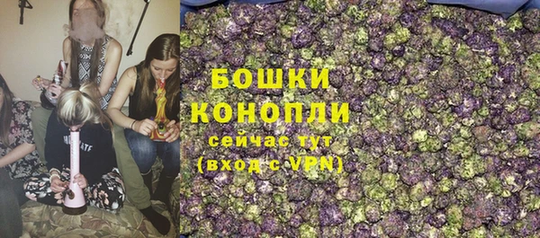 шишки Арсеньев