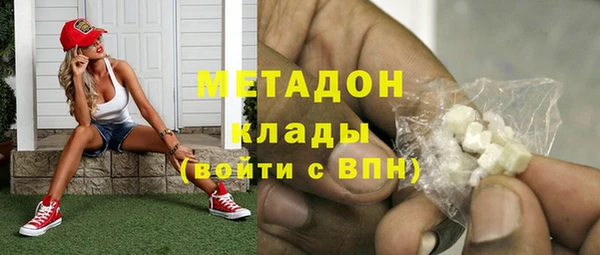 шишки Арсеньев
