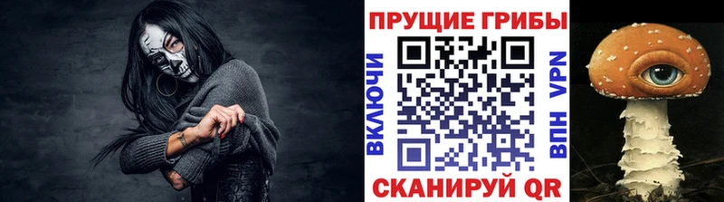 дарнет шоп  Тарко-Сале  Галлюциногенные грибы мицелий 